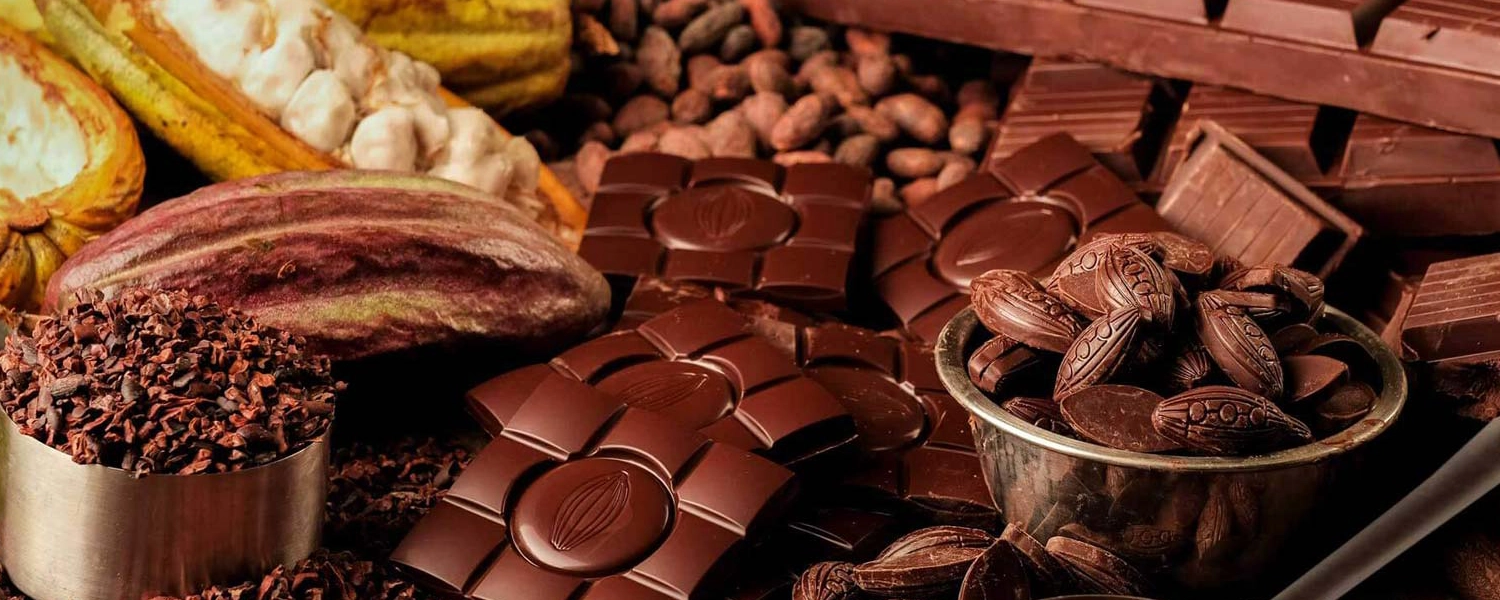 Chocolate Edutourism