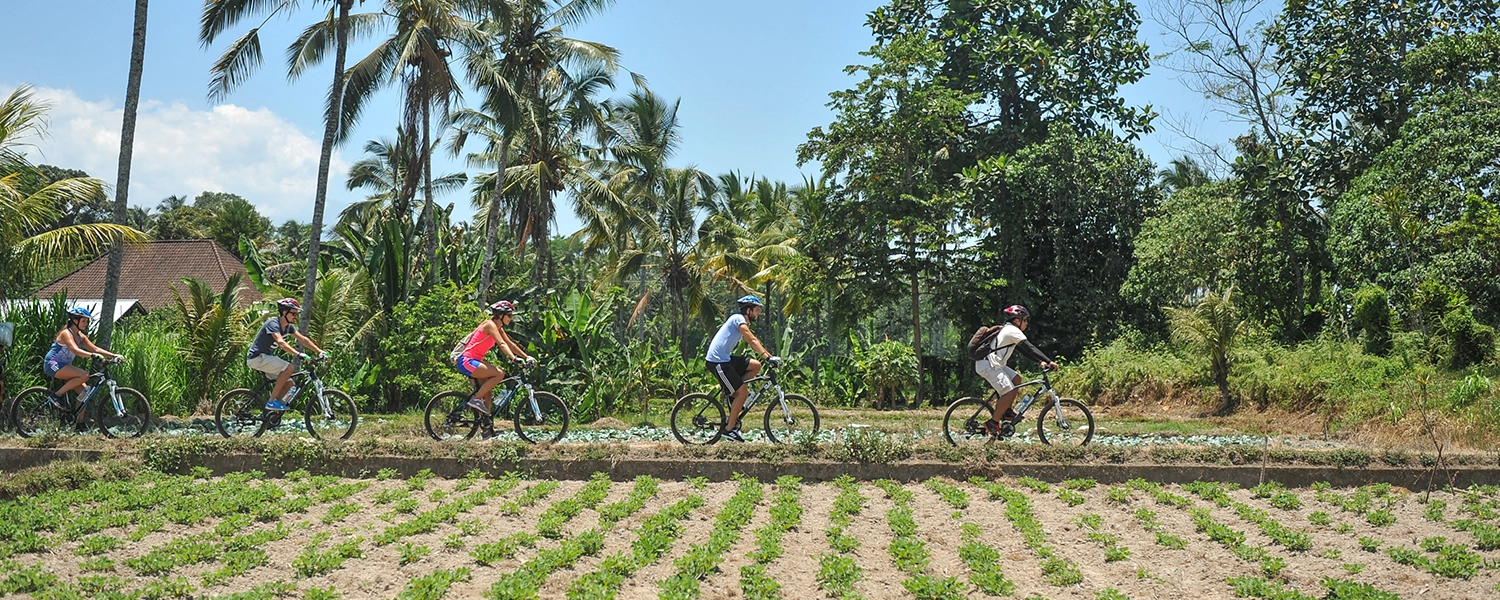 True Bali Experience Cycling