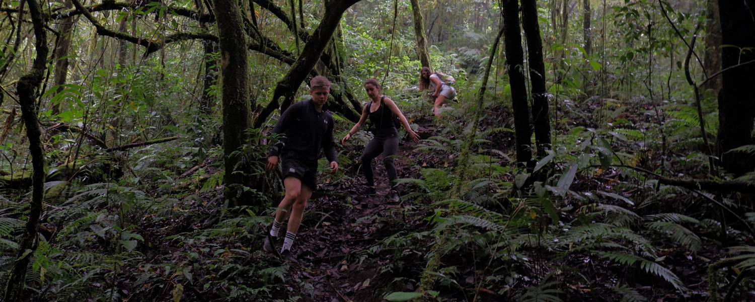 Jungle Trekking Bali