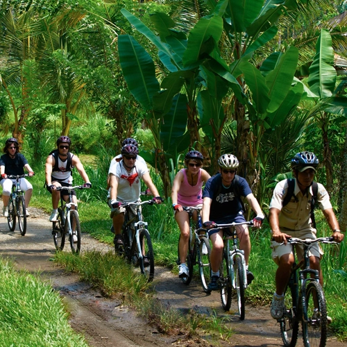 True Bali Experience