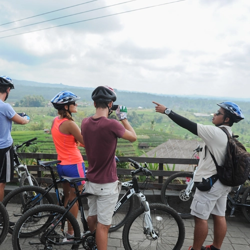 Jatiluwih Rice Paddy Cycling