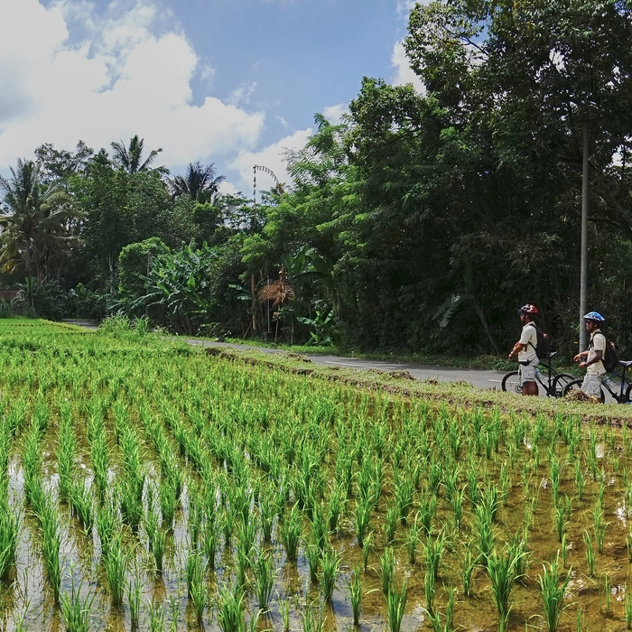Carangsari Village Cycling