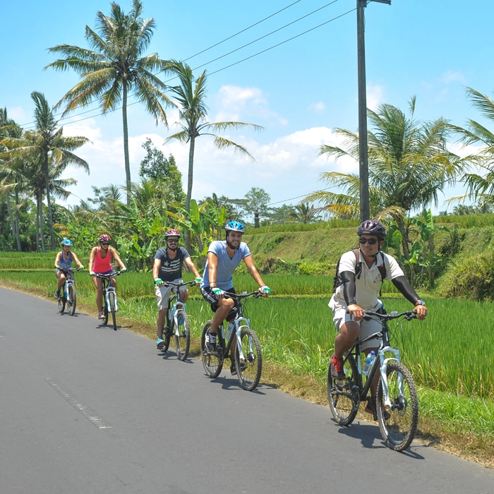 TKintamani Mountain Cycling