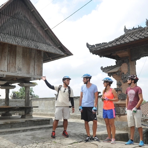 Jatiluwih Rice Paddy Cycling