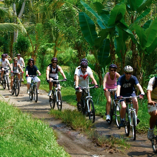 TKintamani Mountain Cycling
