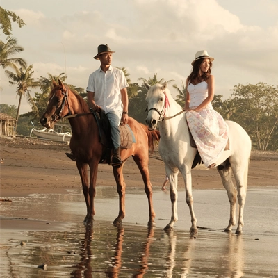 Bali Horse Photoshoot Experience