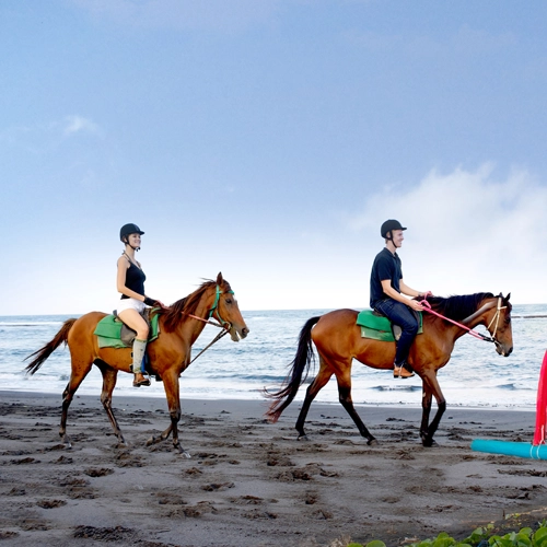 Bali Horse Riding
