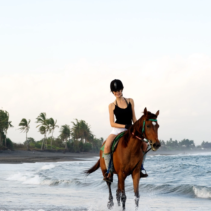 Bali Horse Riding Experience