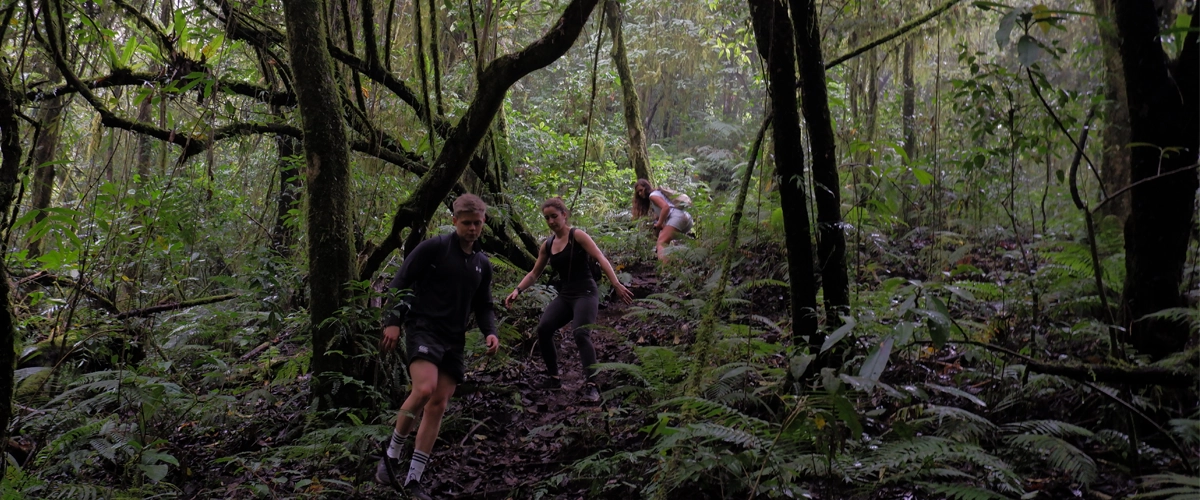 Jungle Trekking