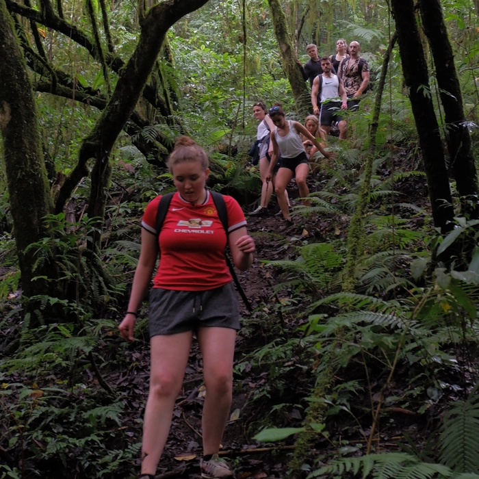 Jungle Trekking