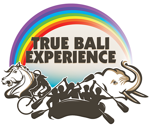 Logo True Bali Experience